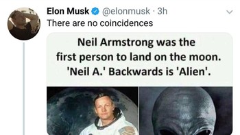 Ada lagi netizen yang membagikan screenshot yang menyebut bahwa Elon adalah meme. Foto: Istimewa