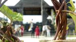 Foto: Bukan di Bali, Ini di Palembang