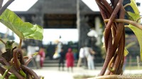 Pura Swarnadwipa telah diprediksikan jadi destinasi wisata religi setelah gelaran Asian Games 2018 selesai. (Raja Adil Siregar/detikTravel)