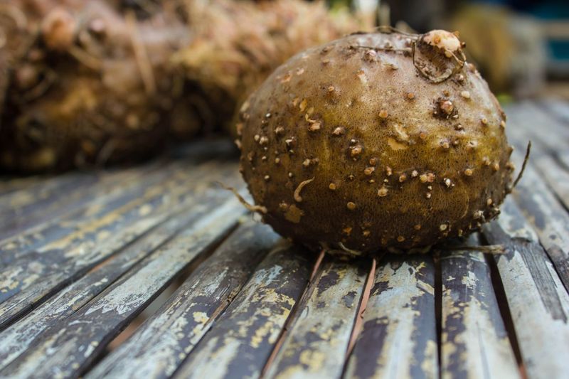 Konjac, amorphophallus, Stanley s water-tub, jelly
