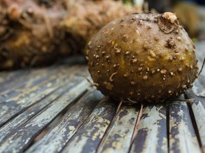 Mengenal Konjak, Sumber Karbohidrat yang Diprediksi Bakal Ngehits di 2019