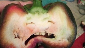 Dari dalam buah paprika nih, mirip muka siapa kira-kira? (Foto: Brightside)
