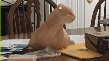 Mengira ini patung kucing? nyatanya ini cuma plastik kok. (Foto: Brightside)