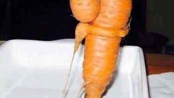 Sweet, seperti anak memeluk orangtuanya. (Foto: Brightside)