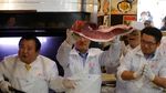 Mantap! Ikan Tuna Ini Dilelang Seharga Rp 43 Miliar