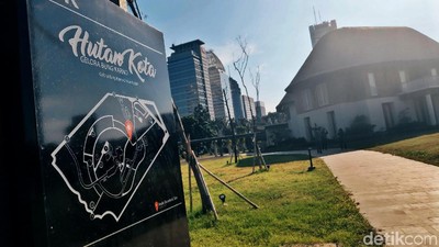 Menikmati Akhir Pekan di Hutan Kota Gelora Bung Karno