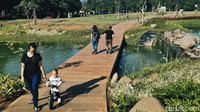 Beragam fasilitas menarik tersedia di hutan kota GBK, salah satunya adalah menikmati suasana kota Jakarta yang sejuk di tengah pepohonan sambil melihat ikan di kolam trembesi yang dilengkapi air terjun mini serta bebatuan berukuran kecil dan sedang.