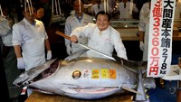 Restoran Sushi Zanmai di Tokyo, Jepang, berhasil meraih sebuah tuna raksasa dengan berat mencapai 278 kg dari sebuah acara lelang ikan.