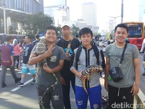Ketika Kadal Jutaan Rupiah Dipamerkan di CFD