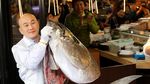 Mantap! Ikan Tuna Ini Dilelang Seharga Rp 43 Miliar