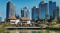 Hutan kota itu dibangun di bekas lapangan golf driving range seluas 4,6 hektar di kawasan Gelora Bung Karno, Jakarta.