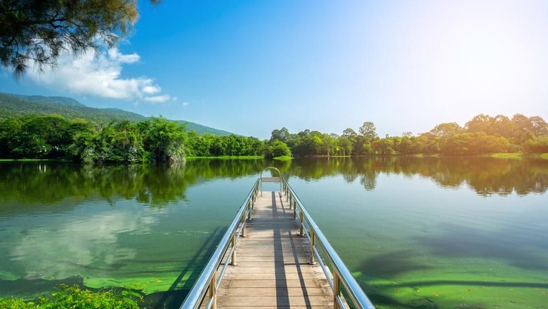 Foto: (Shutterstock) Foto: (Shutterstock)