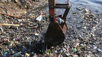 Kali Pisang Batu sebelumnya ramai diberitakan jorok akibat lautan sampah yang memenuhi kali tersebut.