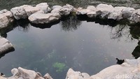 Di pinggir sungai, masih beberapa kolam yang menghasilkan gelembung-gelembung air. Ini berarti masih ada mata air yang keluar dari dasar sungai. (Bonauli/detikTravel)