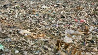 Sampah membuat sungai tersebut menjadi jorok dan berbau. Gimana tanggapan pemerintah Kabupaten Bekasi? Agung Pambudhy/detikcom.