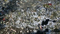 Warga setempat mengatakan, sampah mulai menumpuk di kali tersebut sejak 3 pekan lalu. Agung Pambudhy/detikcom.