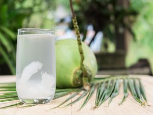 Berbuka Puasa dengan Air Kelapa, Ternyata Ada 12 Manfaat Bagi Kesehatan