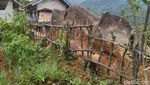 Foto Batu Kuda di Ciamis yang Konon Bikin Pusing dan Kesurupan