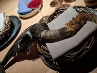 Pria Ini Rogoh Kocek Rp 4,9 Juta untuk Makan Semut dan Otak Rusa