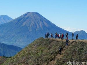 Ingin Daki Gunung Prau di New Normal? Ketahui Ini Dulu Ya...