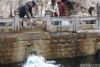 (Bonauli/detikTravel)