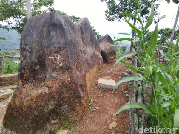 Pada zaman dulu, lokasi tersebut dulunya adalah tempat menggembala kuda dan kerbau. Namun menurut cerita, ada perebutan kekuasaan lahan tersebut. Sampai akhirnya lahan teresebut dibiarkan begitu saja (Dadang/detikTravel) Pada zaman dulu, lokasi tersebut dulunya adalah tempat menggembala kuda dan kerbau. Namun menurut cerita, ada perebutan kekuasaan lahan tersebut. Sampai akhirnya lahan teresebut dibiarkan begitu saja (Dadang/detikTravel)
