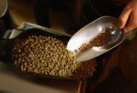 Apa Benar Kopi 'Decaf' Benar-benar Bebas Kafein?