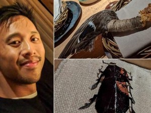 Pria Ini Rogoh Kocek Rp 4,9 Juta untuk Makan Semut dan Otak Rusa