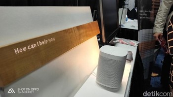 Kayu pintar, bisa diajak ngobrol lho. Foto: detikINET/Adi Fida Rahman