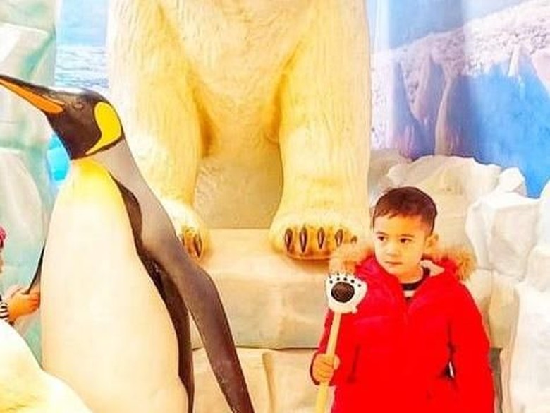 Foto: Instagram Foto: Instagram