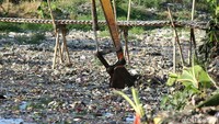 Selain melakukan bersih-bersih sampah, Pemerintah Kabupaten (Pemkab) Bekasi meminta masyarakat turut aktif menegur para pembuang sampah yang membuat Kali Pisang Batu kotor.
