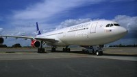 Lalu di urutan selanjutnya ada Scandinavian Airline System (Dok. Scandinavian Airline System)