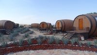 Seru! Di Sini Bisa Tidur di Dalam Barel Tequila Raksasa