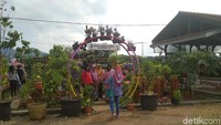 Saat ini, Trenggalek Agropark selalu ramai pengunjung terutama pada sore hari dan di akhir pekan. Lokasi yang mudah dijangkau yakni di pusat kota menjadi nilai tambahnya (Adhar Muttaqin/detikTravel) 