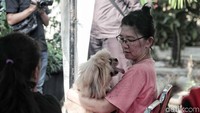 Pemilik anjing nampak berdialog dengan hewan peliharaannya.