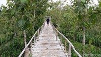 Traveler bisa melanjutkan perjalanan dengan berjalan kaki guna mencapai puncak Gunung Gede dengan menggunakan jembatan dari bambu (Pradito Rida Pertana/detikTravel)
