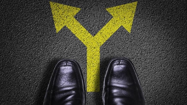 Fakta Unik Seputar Diphallia, Penyebab Pria Punya Penis Dua