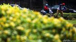 5 Taman akan Dipermak Pemprov DKI dengan Budget Rp 140 M