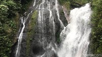 Air Terjun Limbong Kamandang memiliki ketinggian tidak kurang dari 50 meter dengan sebuah kolam air di bawahnya (Abdy Febriady/detikTravel) 