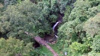 Air Terjun Limbong Kamandang dikelilingi rimbunnya daun pepohonan yang menjulang tinggi. Ini memberikan kenikmatan tersendiri bagi pengunjung yang ingin menikmati udara segar tanpa polusi (Abdy Febriady/detikTravel)