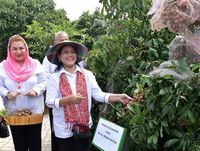 Jateng Surganya Durian Enak, Ganjar Pranowo dan Iriana Jokowi Sudah Membuktikan
