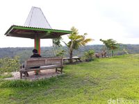 Hijaunya Gardu Pandang Gunung Gede yang Bikin Adem