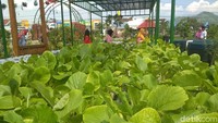 Harapan masyarakat, konsep yang telah tertata rapi di Trenggalek Agropark mampu dipertahankan dan bahkan berkembang hingga masa mendatang (Adhar Muttaqin/detikTravel) 