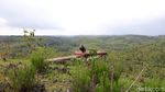 Foto: Gardu Pandang Gunung Gede yang Instagenik