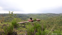 Melongok lebih jauh, mata pengunjung akan dimanjakan pemandangan alam berupa perbukitan nan asri dari puncak Gunung Gede. Tak hanya dapat menikmati keasrian alam, pengunjung juga dapat berswafoto di beberapa spot foto dengan beraneka bentuk (Pradito Rida Pertana/detikTravel) 