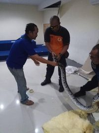 Sanca itu sepanjang 4 meter.