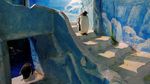 Aksi Lucu Penguin Sambut Pengunjung di Festival Es Harbin