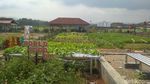 Foto: Agrowisata Kekinian dari Trenggalek