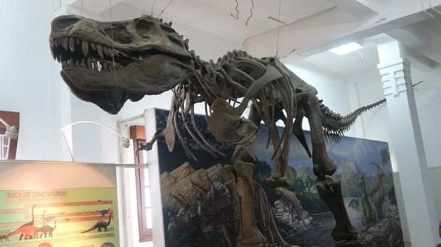 Museum Geologi di Bandung, salah satu koleksinya adalah kerangka Tyrannnosaurus rex