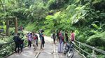 Foto: Cantiknya Air Terjun Limbong Kamandang di Polewali Mandar